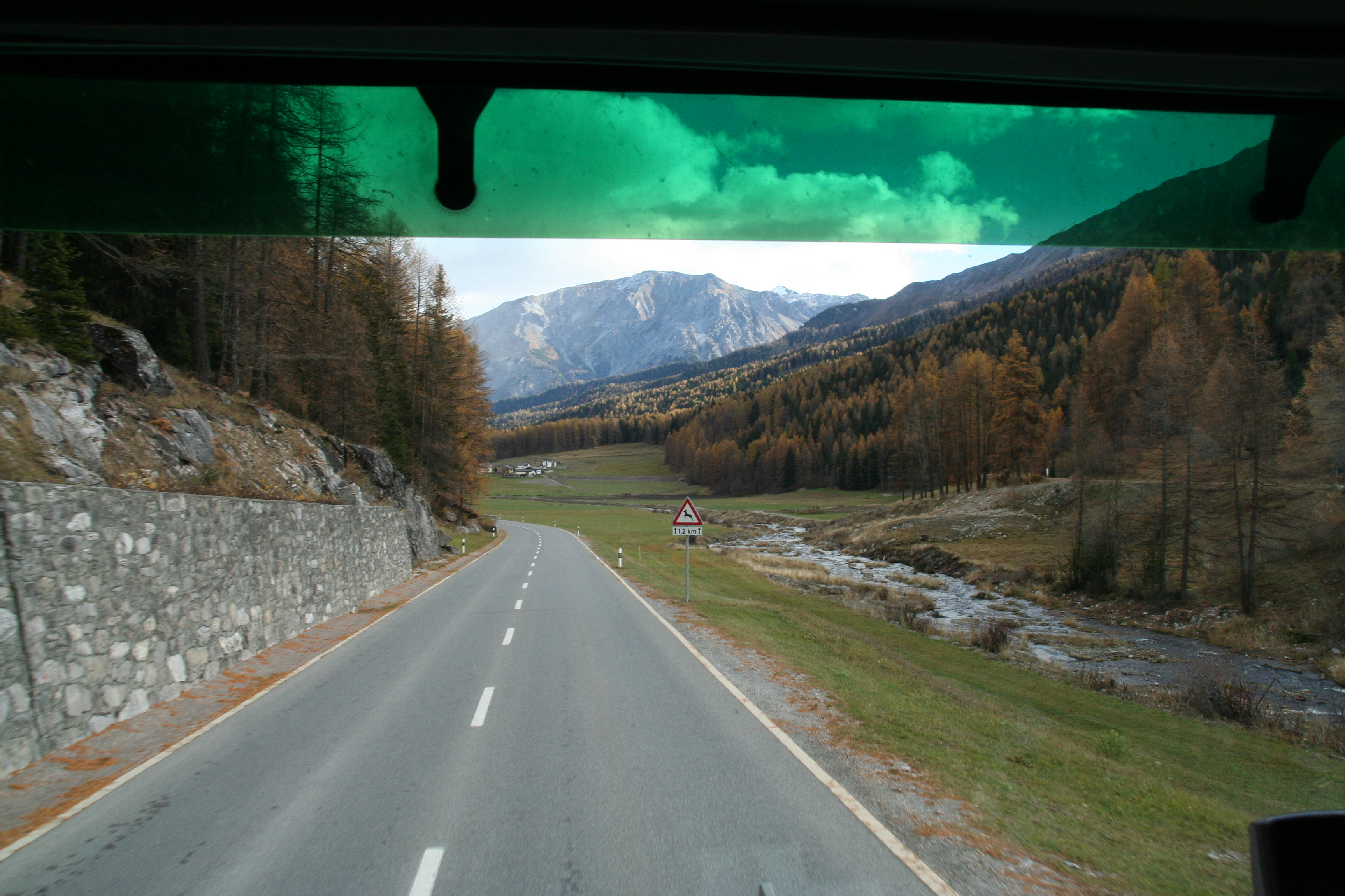 IMG_1403.jpg