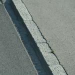 IMG_6130.JPG