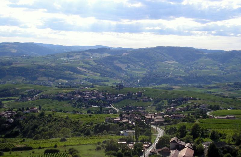 Beaujolais.jpg