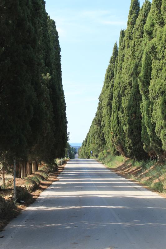 Toscana2013-2 028.JPG