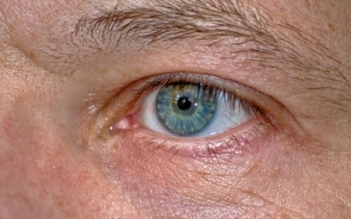 Augen_.jpg