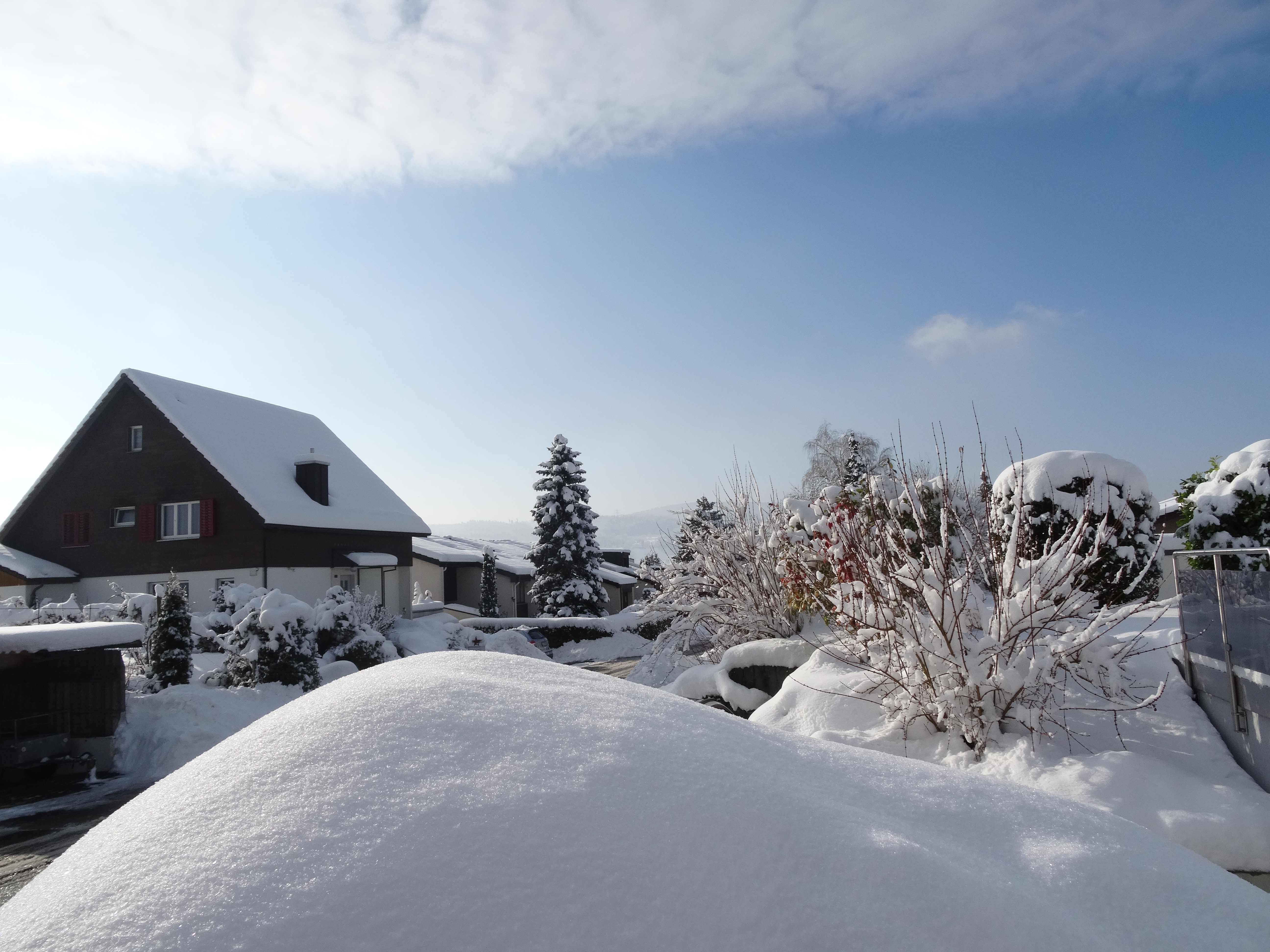Winter2014 033.JPG