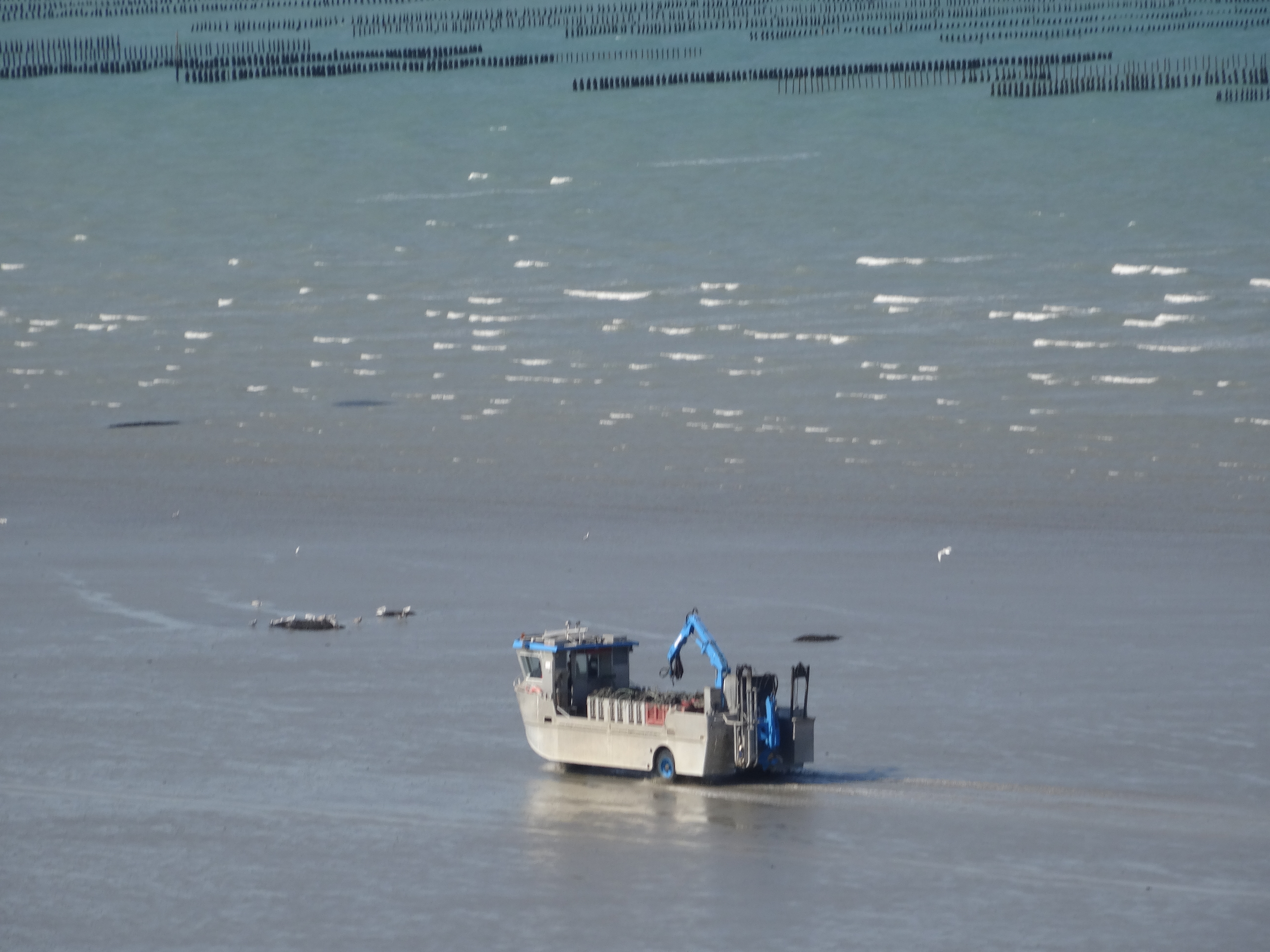 BretagneII2015Pl__neuf-Morieux 184.JPG