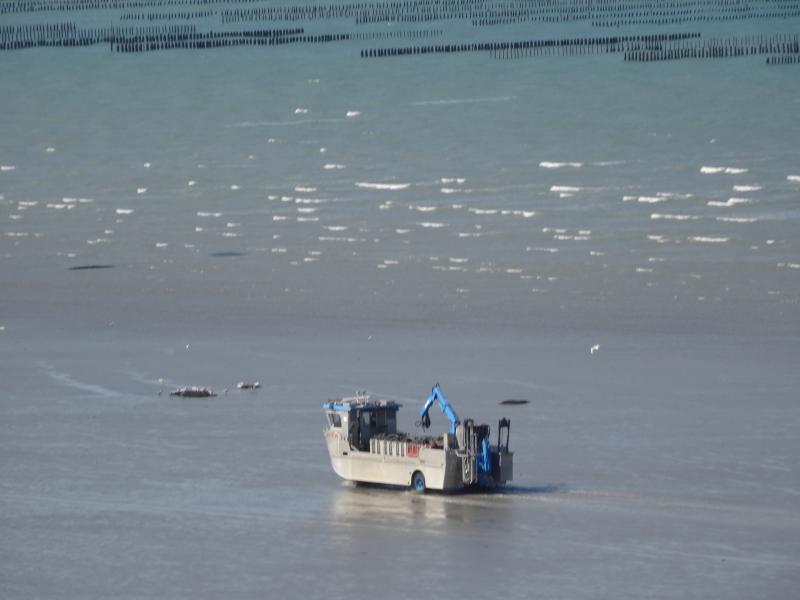 BretagneII2015Pl__neuf-Morieux 184.JPG