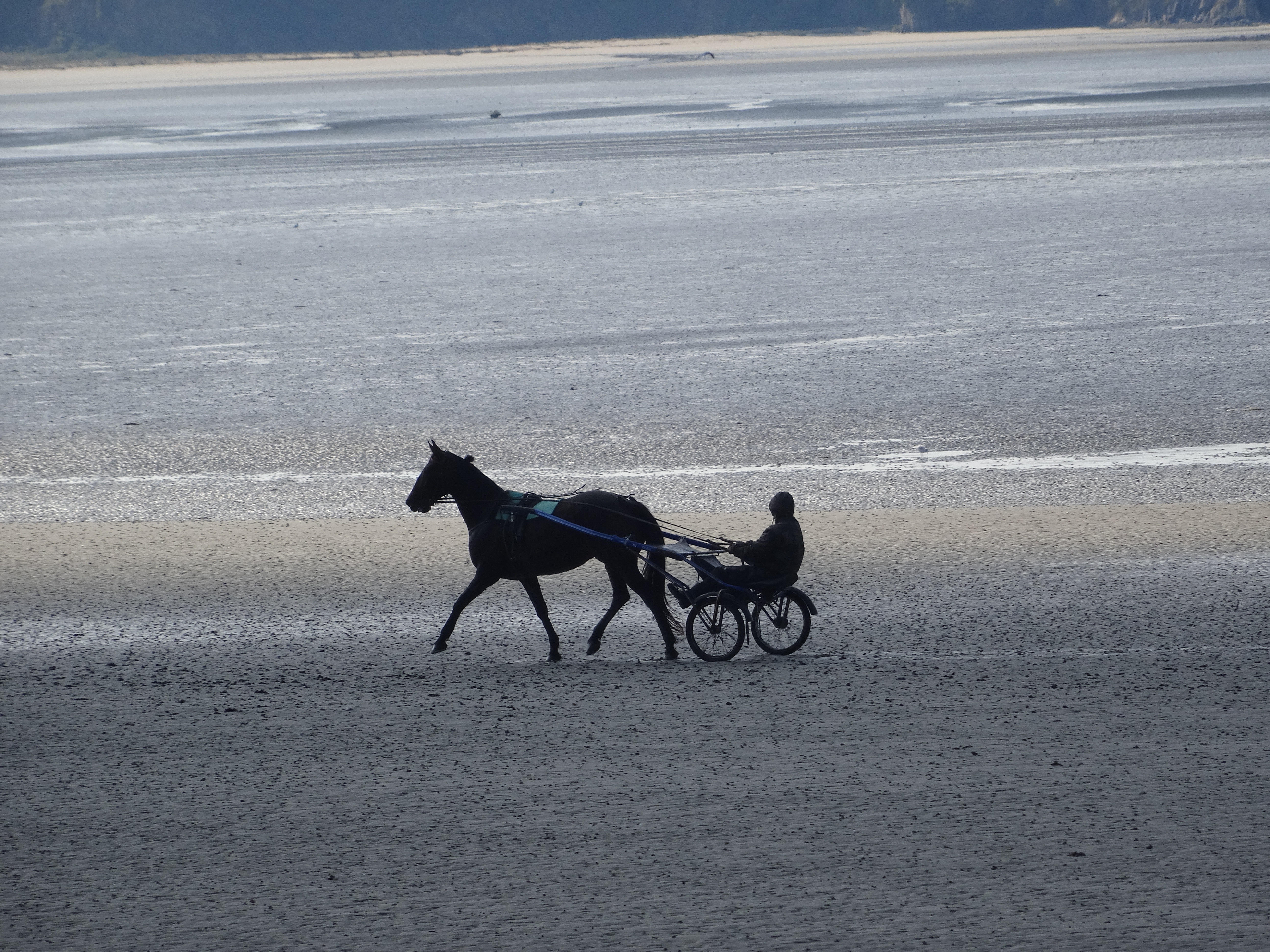 BretagneII2015Pl__neuf-Morieux 215.JPG