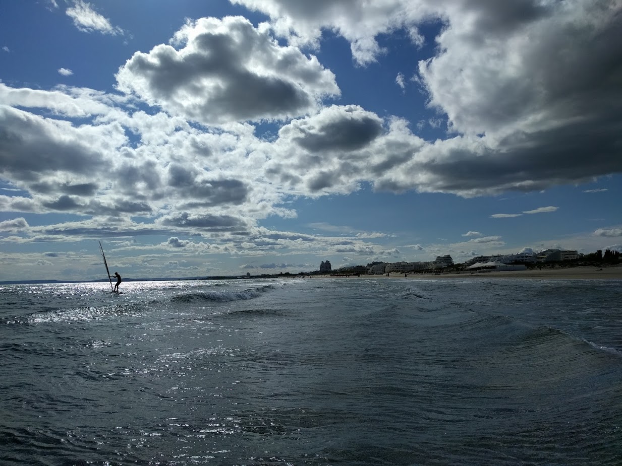 Camargue_173701.jpg