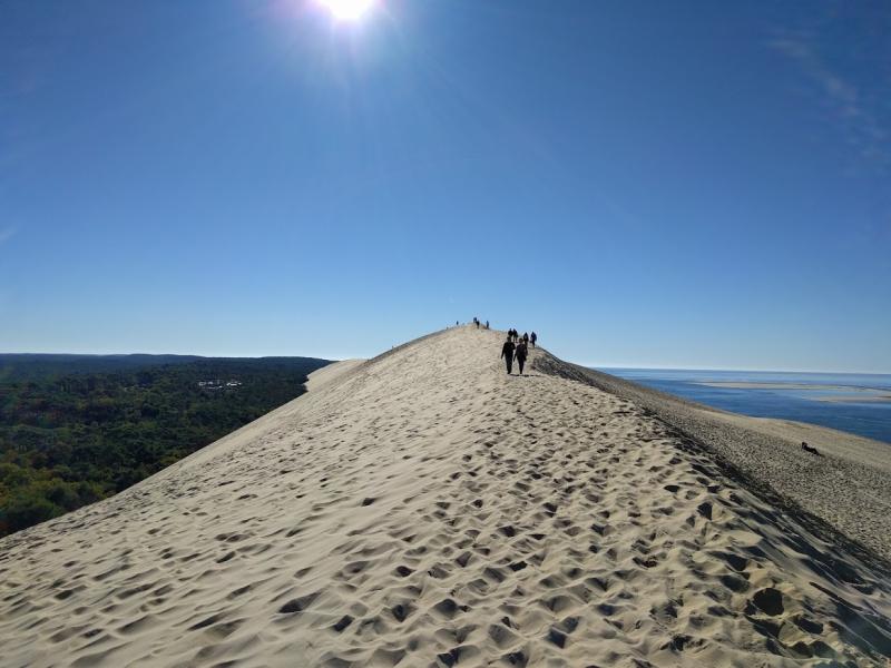 DuneduPilat_145415.jpg