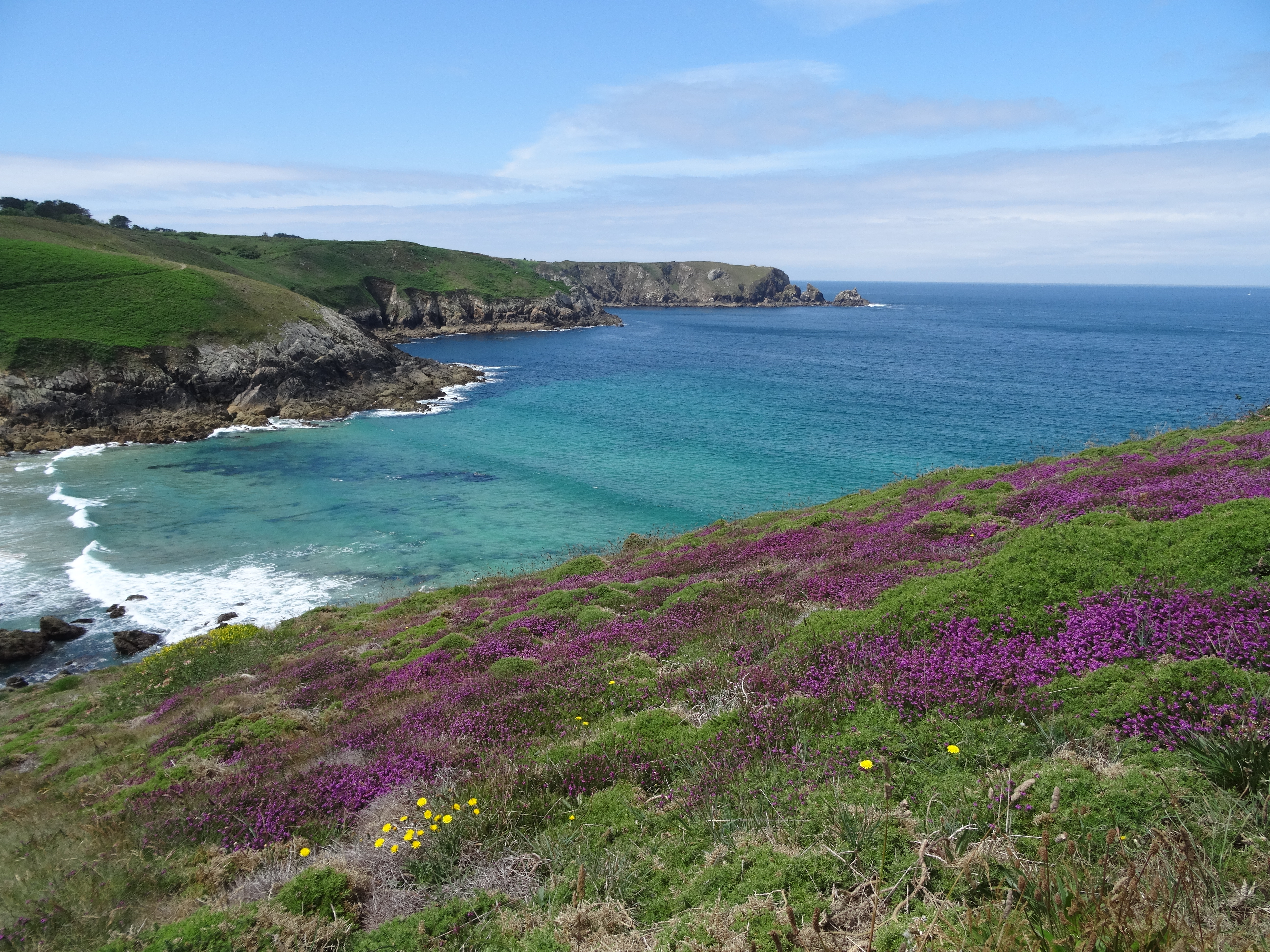 Pointe de Brezellec-Pors Peron-Pointe de Van 070.JPG