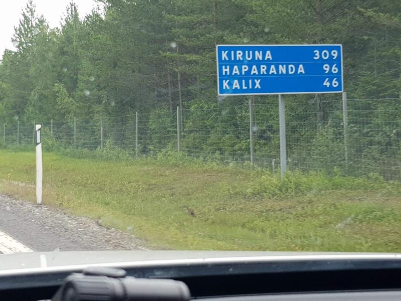 Finn_Grenze24.jpg