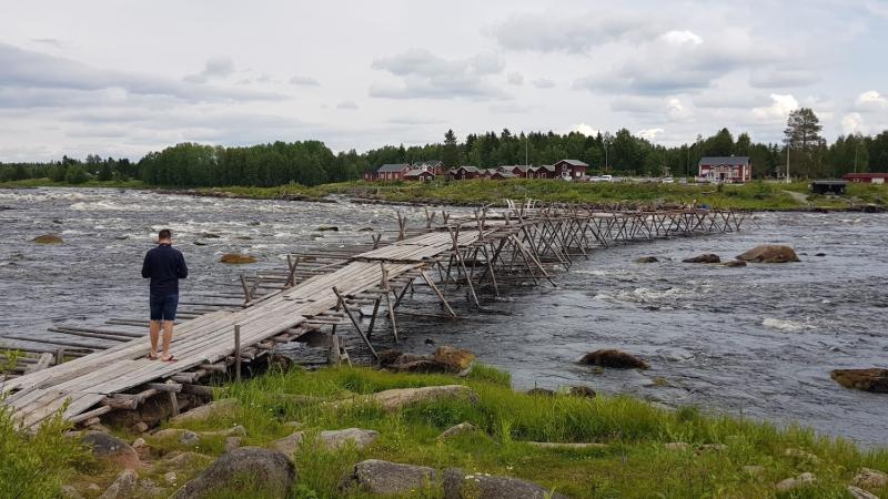 Kukkola50.jpg