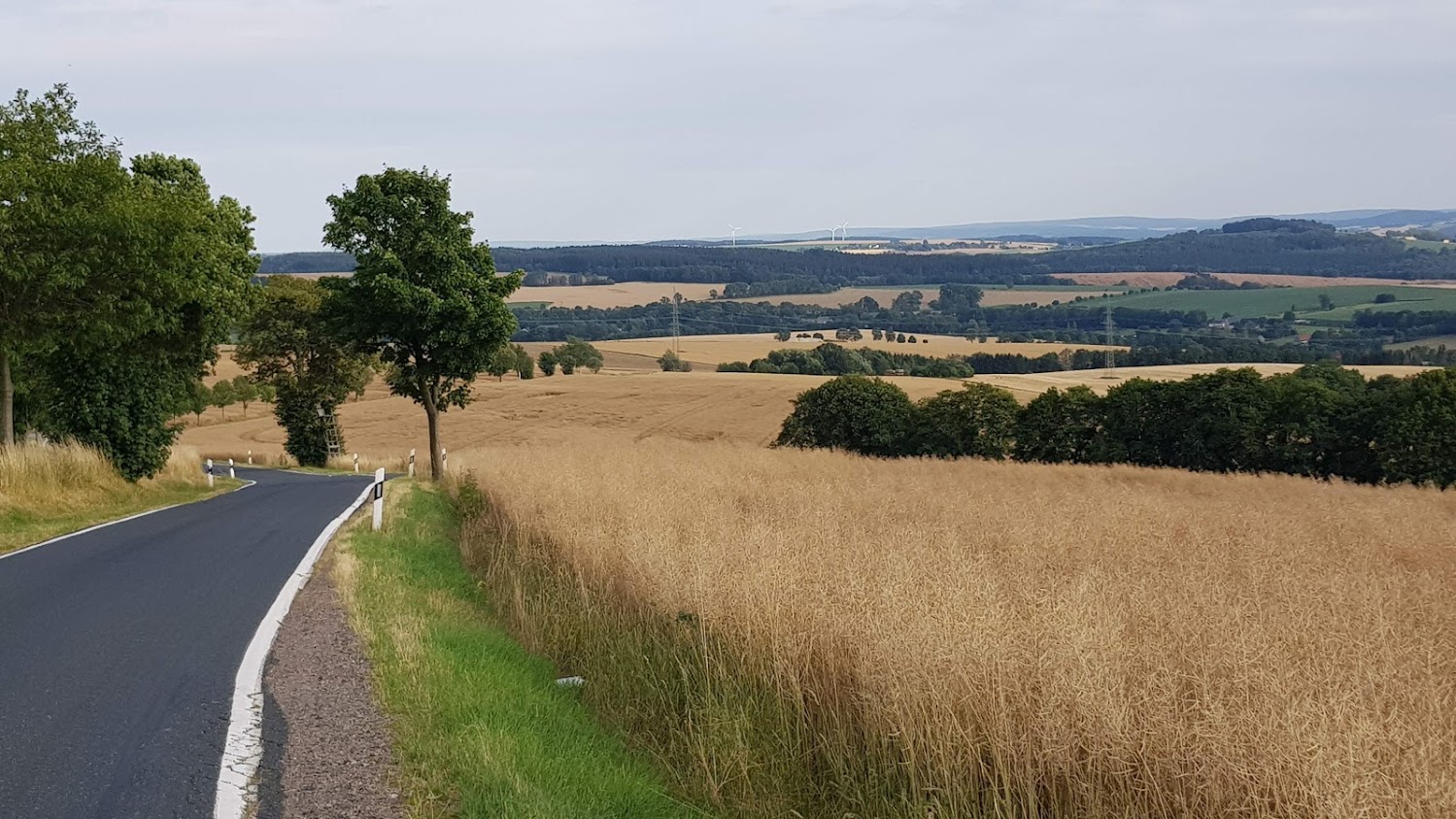 Sachsen00.jpg