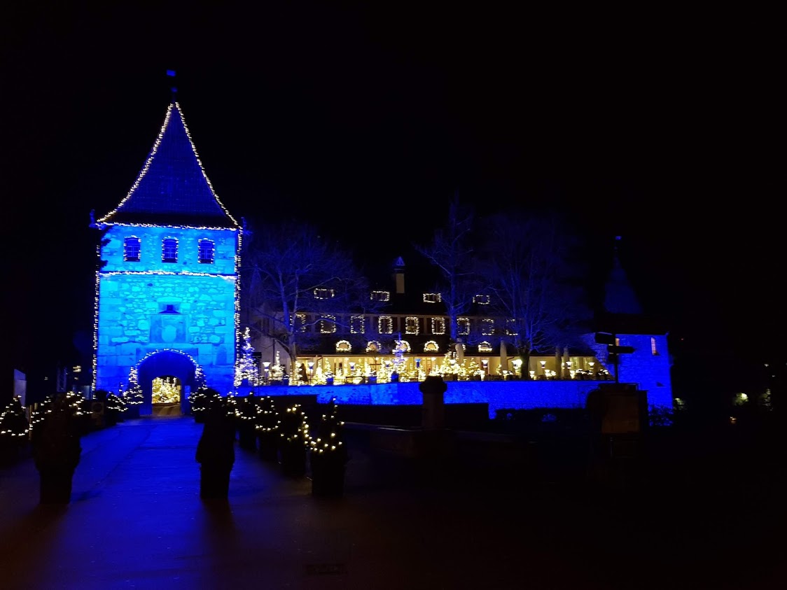 SchlossLaufen4029.jpg
